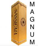 SASSICAIA vertical magnums - 1990 to 2021 0