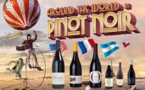 Best case scenario - Pinot Noir around the world NV (12 pack bottles) (12 pack bottles)